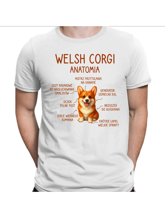 Welsh Corgi  - anatomia  - męska koszulka z nadrukiem