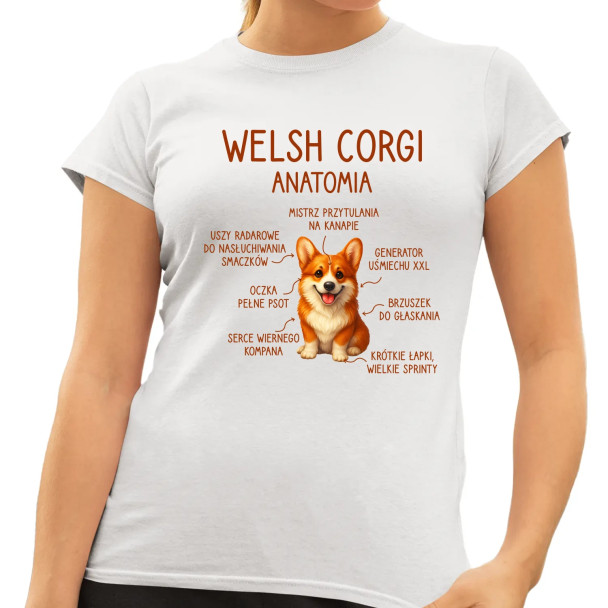 Welsh Corgi  - anatomia - damska koszulka z nadrukiem