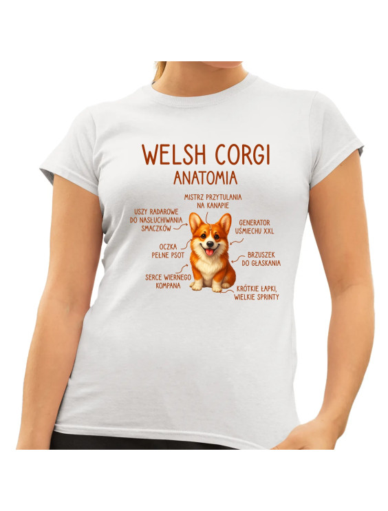 Welsh Corgi  - anatomia - damska koszulka z nadrukiem