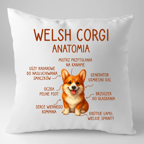 Welsh Corgi  - anatomia - poduszka z nadrukiem