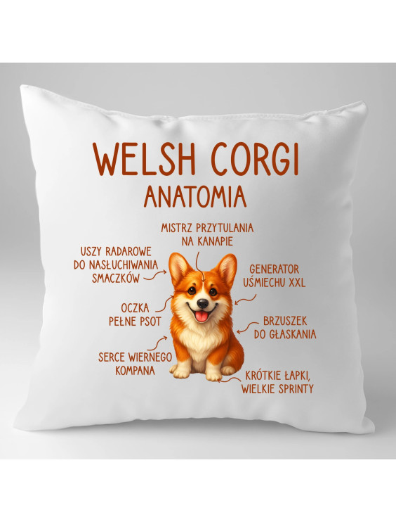 Welsh Corgi  - anatomia - poduszka z nadrukiem