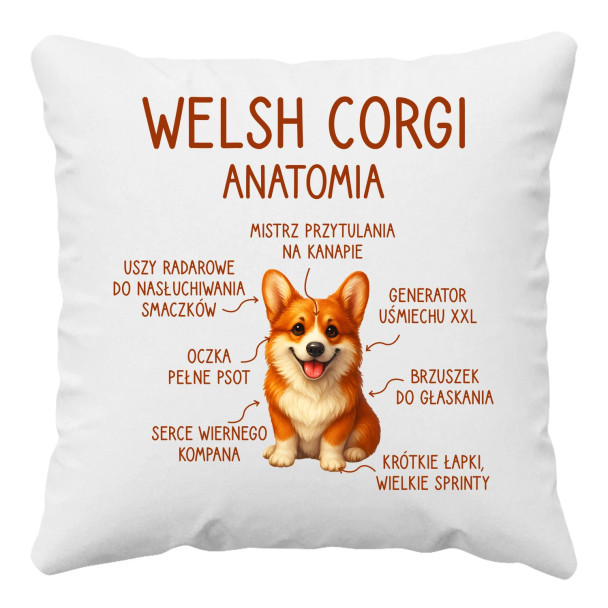 Welsh Corgi  - anatomia - poduszka z nadrukiem
