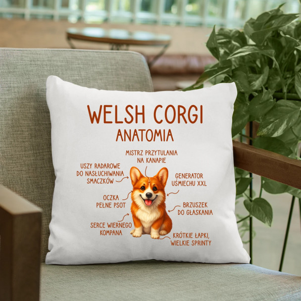 Welsh Corgi  - anatomia - poduszka z nadrukiem