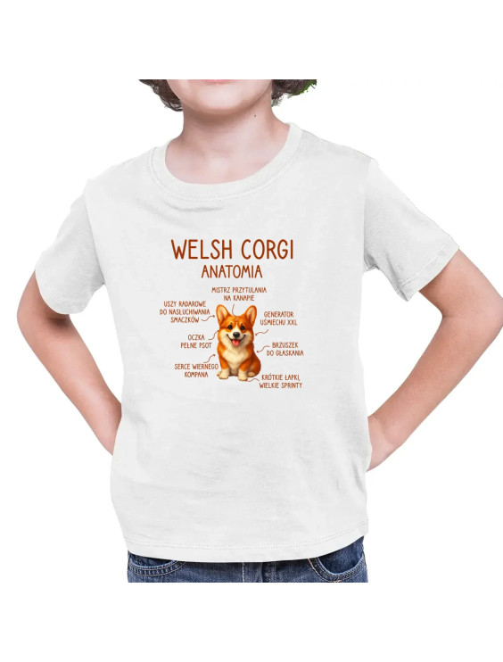 Welsh Corgi  - anatomia - dziecięca koszulka z nadrukiem