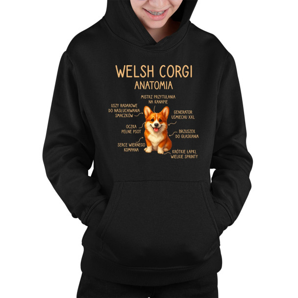 Welsh Corgi  - anatomia - dziecięca bluza z nadrukiem