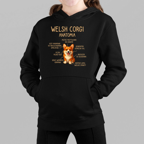 Welsh Corgi  - anatomia - dziecięca bluza z nadrukiem
