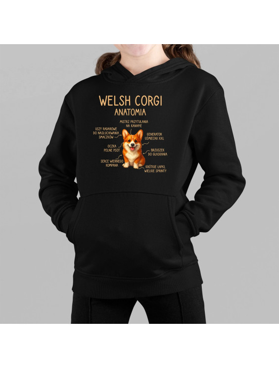 Welsh Corgi  - anatomia - dziecięca bluza z nadrukiem
